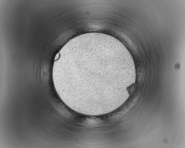 X0000103140455200809192009