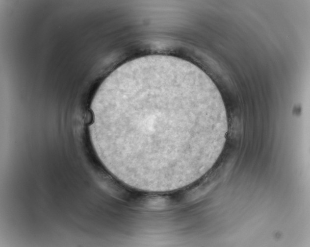 X0000103140456200809192009