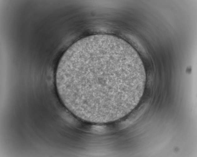 X0000103140457200809192009