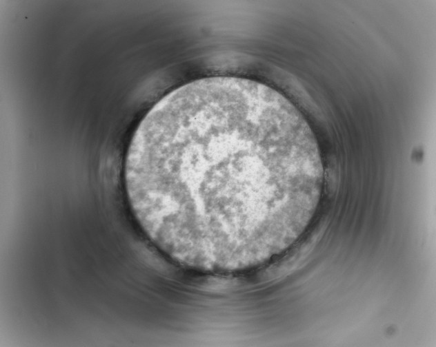 X0000103140458200809192009