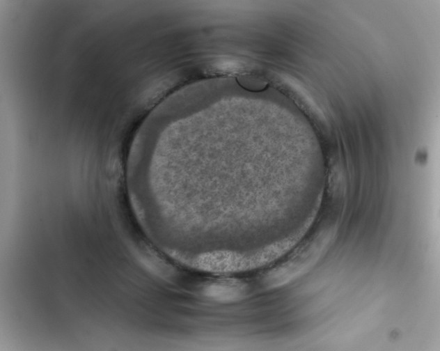 X0000103140459200809192009