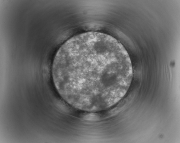 X0000103140460200809192009