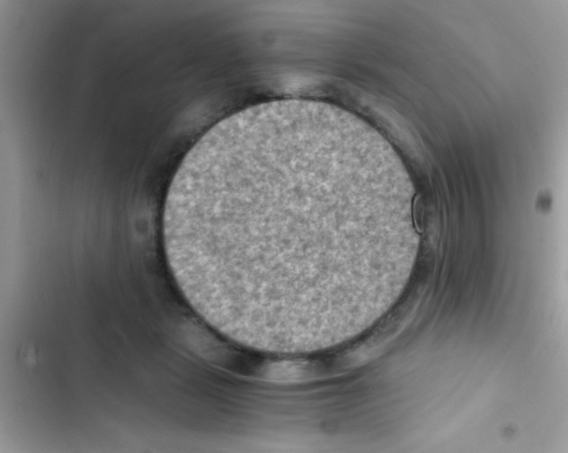 X0000103140461200809192009