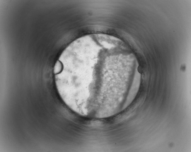 X0000103140462200809192009