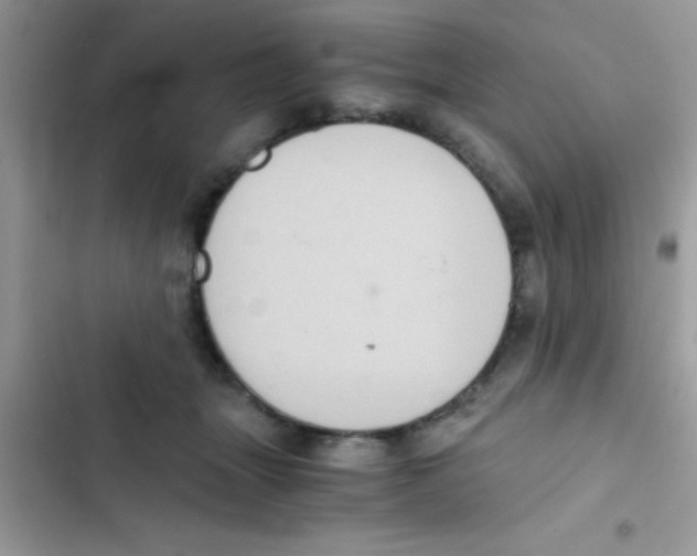 X0000103140463200809192009