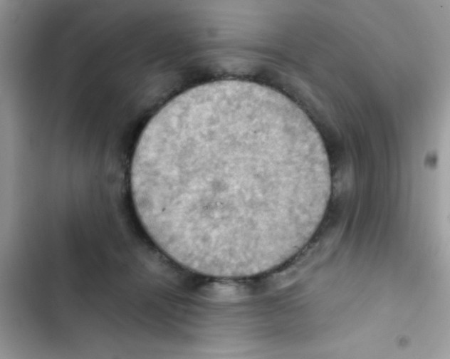 X0000103140464200809192009