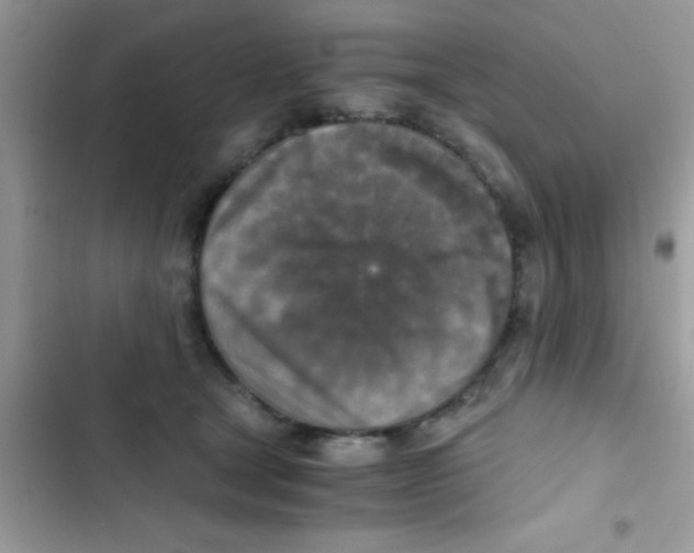 X0000103140465200809192009