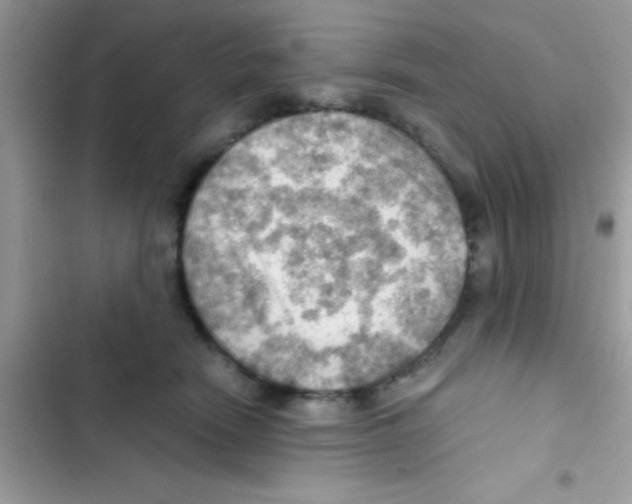 X0000103140466200809192009