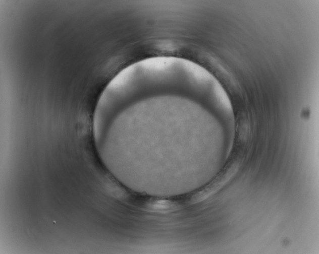 X0000103140467200809192009