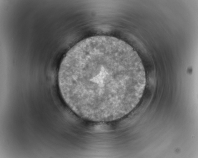 X0000103140468200809192009