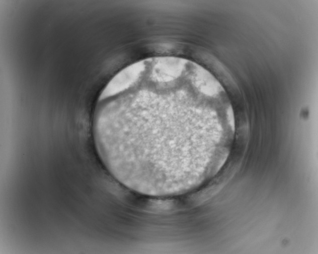 X0000103140469200809192009