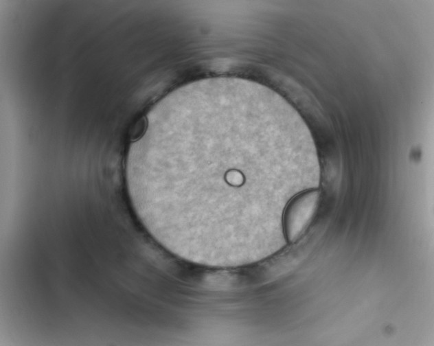 X0000103140470200809192009