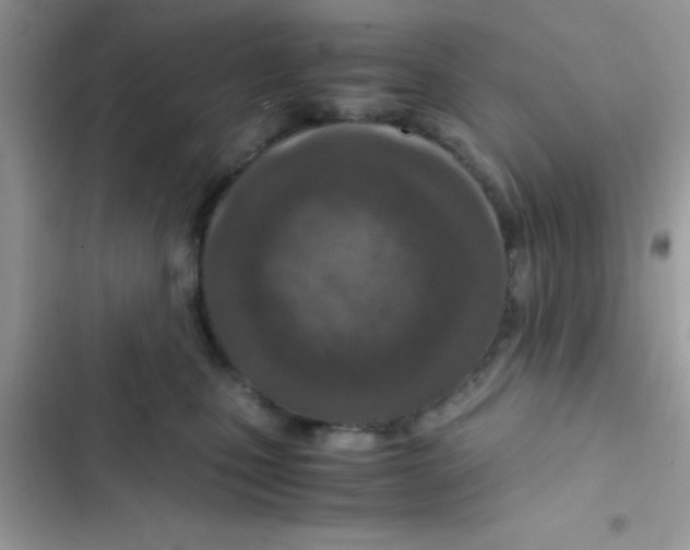 X0000103140471200809192009