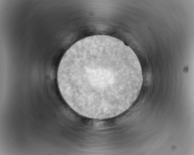 X0000103140472200809192009