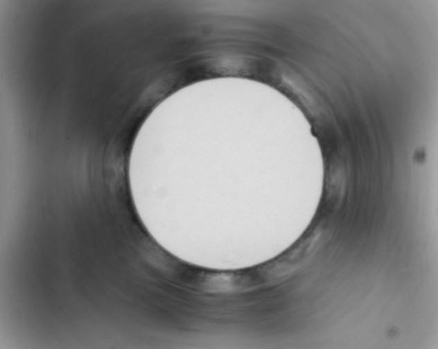 X0000103140473200809192009