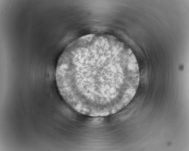 X0000103140474200809192009