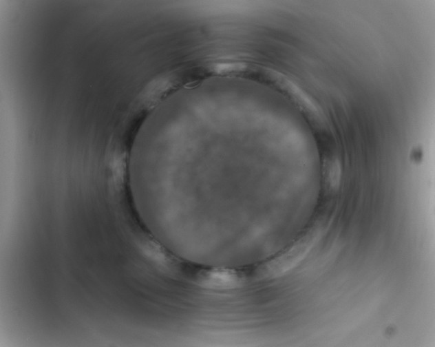 X0000103140475200809192009