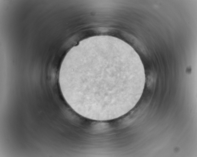 X0000103140476200809192009