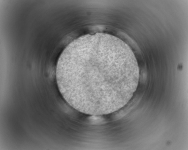 X0000103140477200809192009