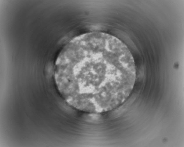 X0000103140478200809192009