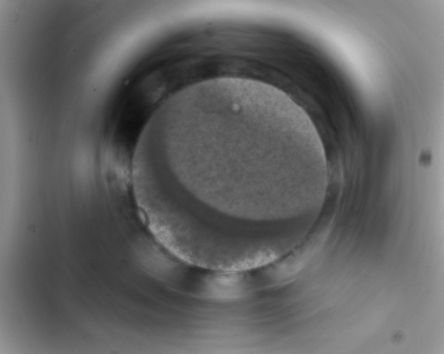 X0000103140479200809192010