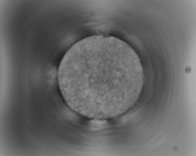 X0000103140480200809192010