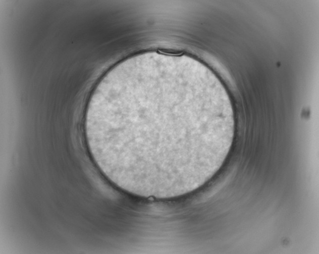 X0000103140481200809192009