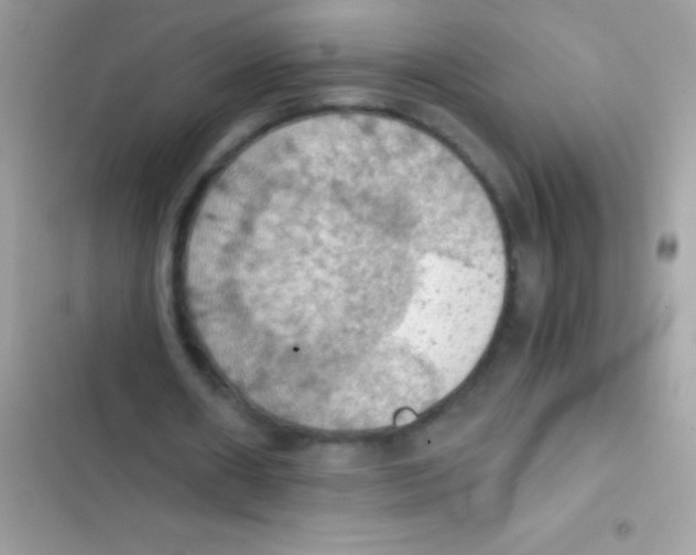 X0000103140482200809192009