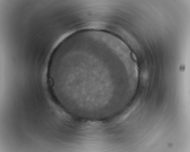 X0000103140484200809192009