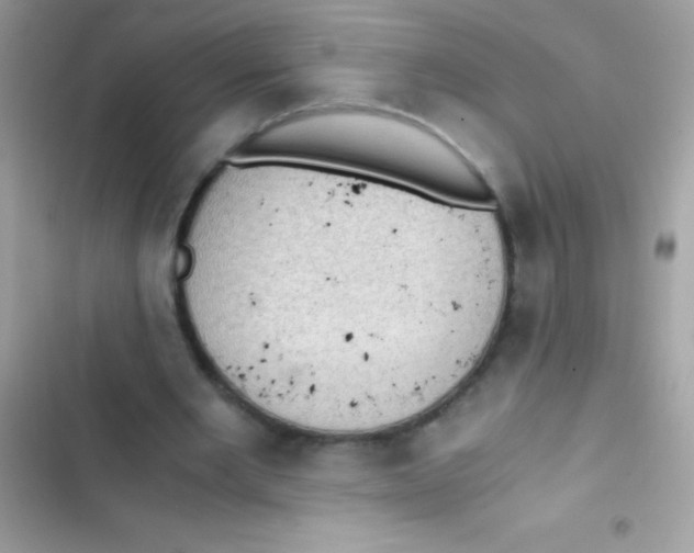 X0000103140485200809192009