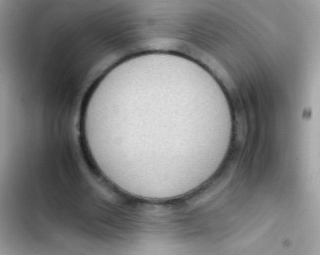 X0000103140486200809192009