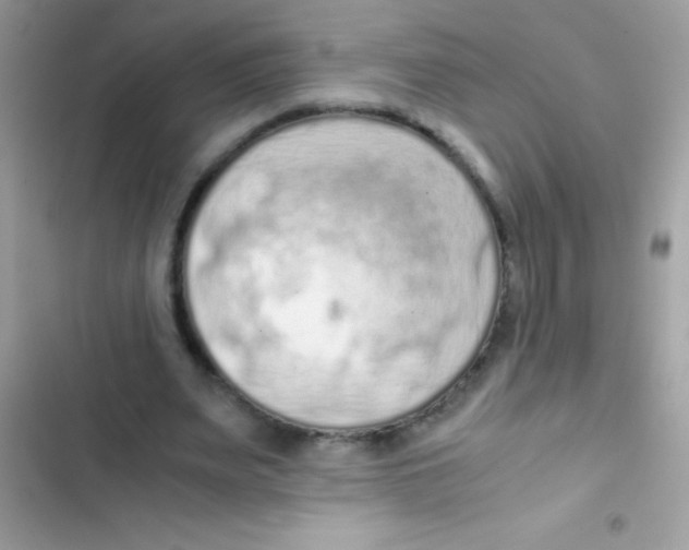 X0000103140487200809192009