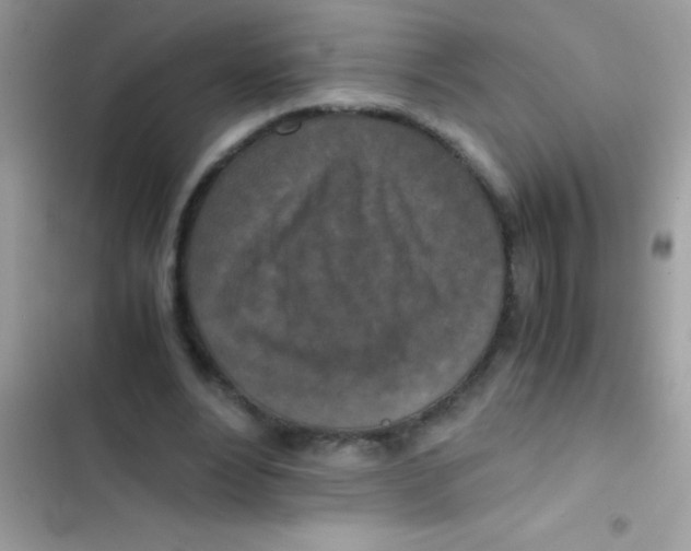 X0000103140488200809192009