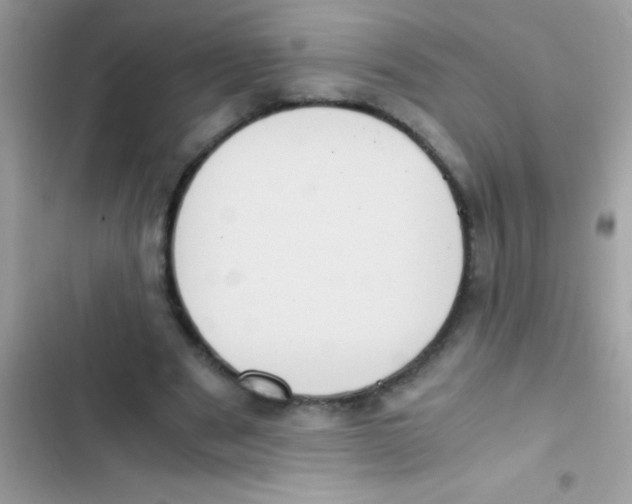 X0000103140489200809192009