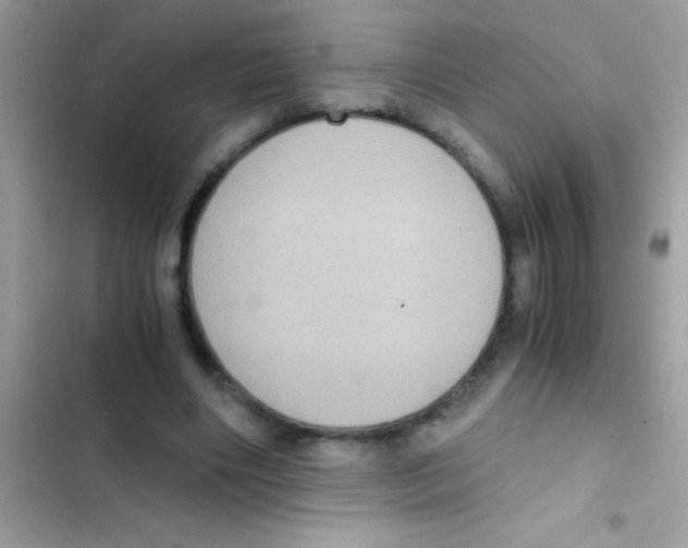 X0000103140490200809192009