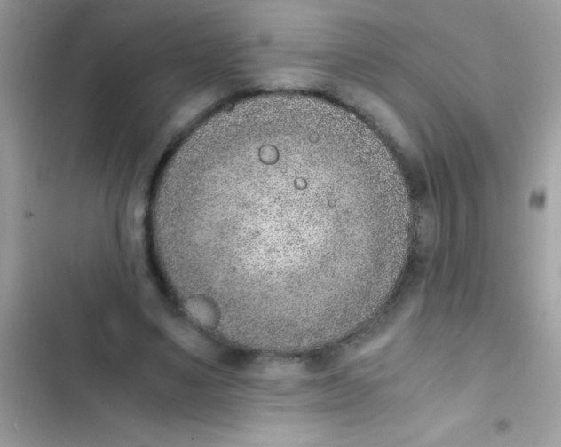 X0000103140491200809192009