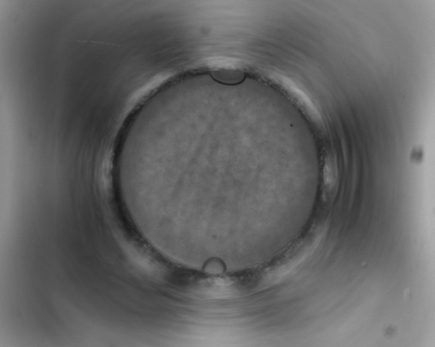 X0000103140492200809192009