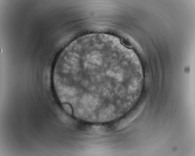 X0000103140493200809192009