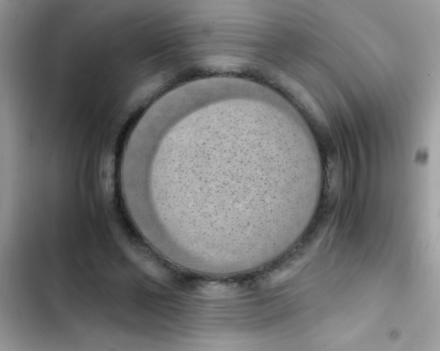 X0000103140494200809192009