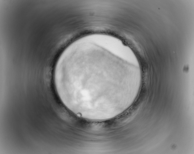 X0000103140495200809192008