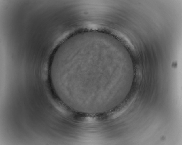 X0000103140496200809192008