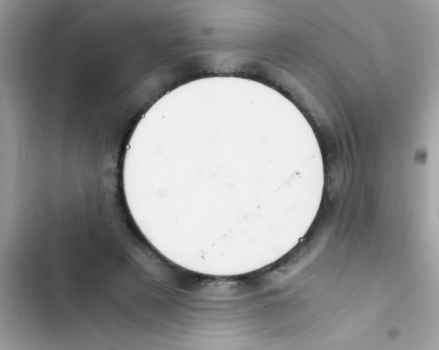 X0000103140497200809192008