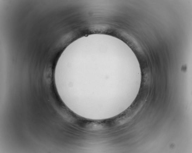 X0000103140498200809192008