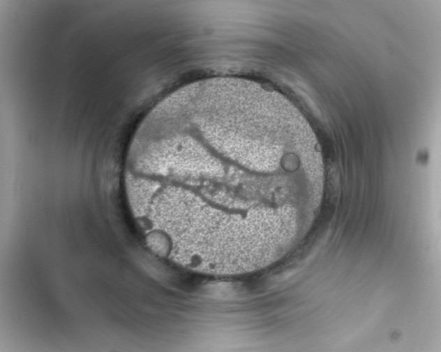 X0000103140499200809192008