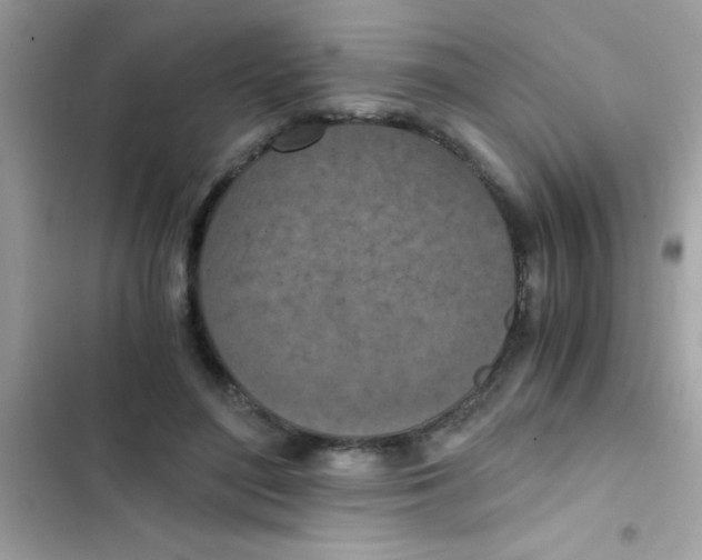 X0000103140500200809192008