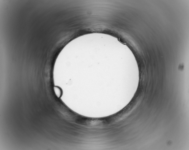 X0000103140501200809192008