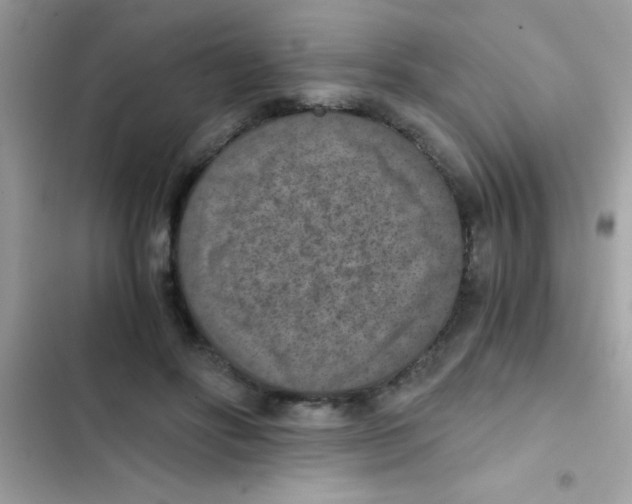 X0000103140502200809192008