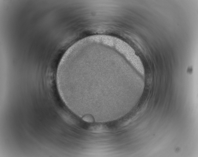 X0000103140503200809192008