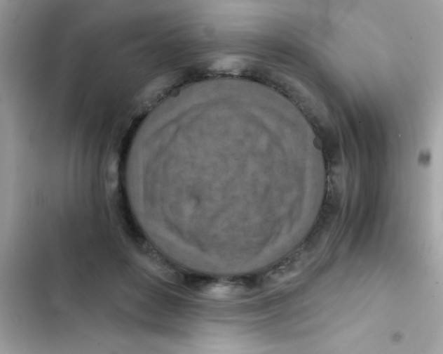 X0000103140504200809192008