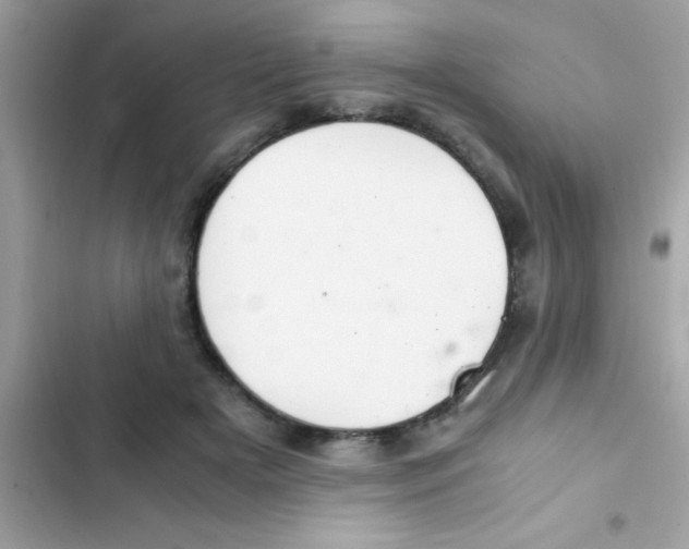 X0000103140505200809192008